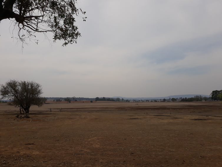 A lagoon during drought