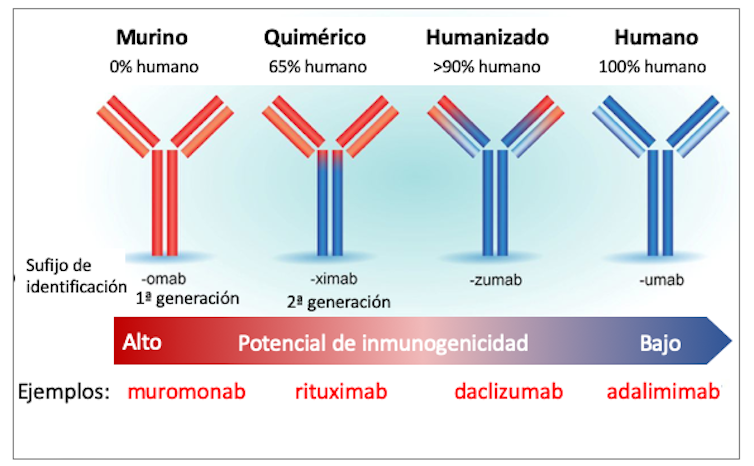 Figura 3. Tipos de anticuerpos monoclonales y ejemplos de fármacos aprobados. Adaptado de Foltz (2013) por Mercedes Jiménez, Author provided