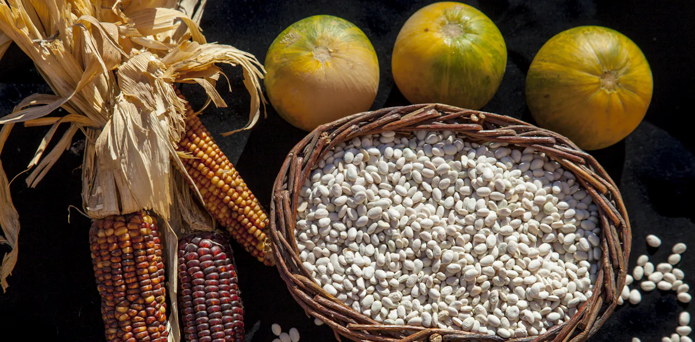 Corn Squash Beans Tringart corn-squash-beans-tringart