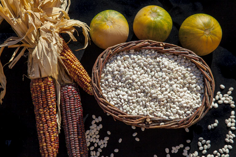 Corn, beans and squash