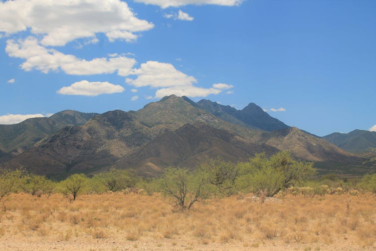 Desert research site in Arizona
