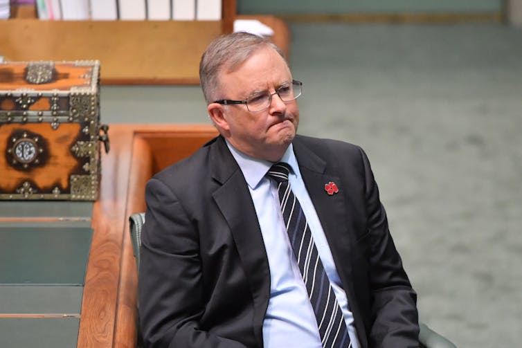 Labor leader Anthony Albanese looks glum in parliament.