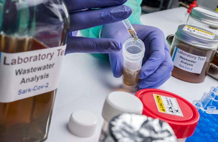 Wastewater samples in a laboratory.