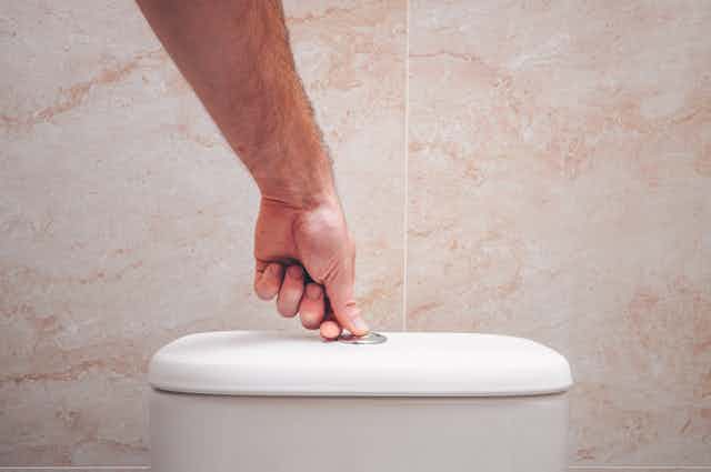 A hand flushes a toilet.