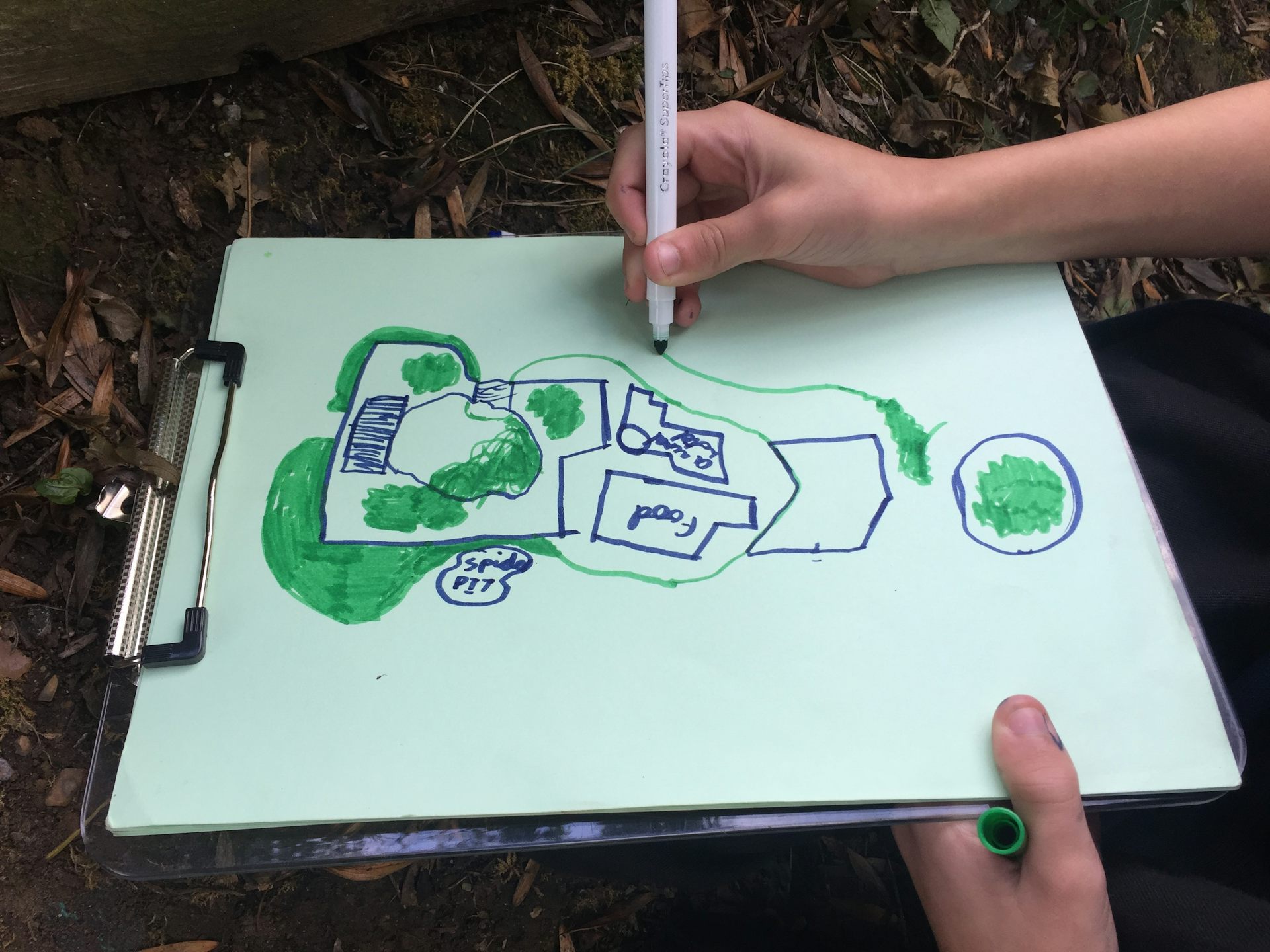 Child's hands drawing a garden plan