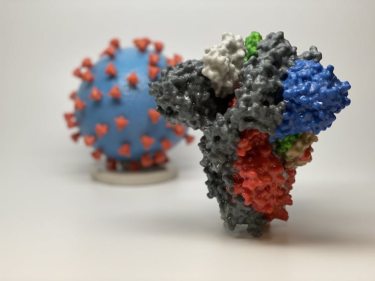 A model of a spike protein in the foreground with the model of the virus in the background