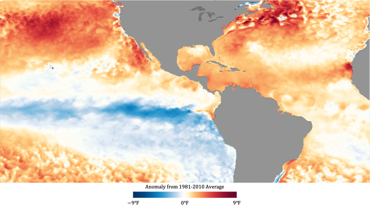 Sea surface temperature map