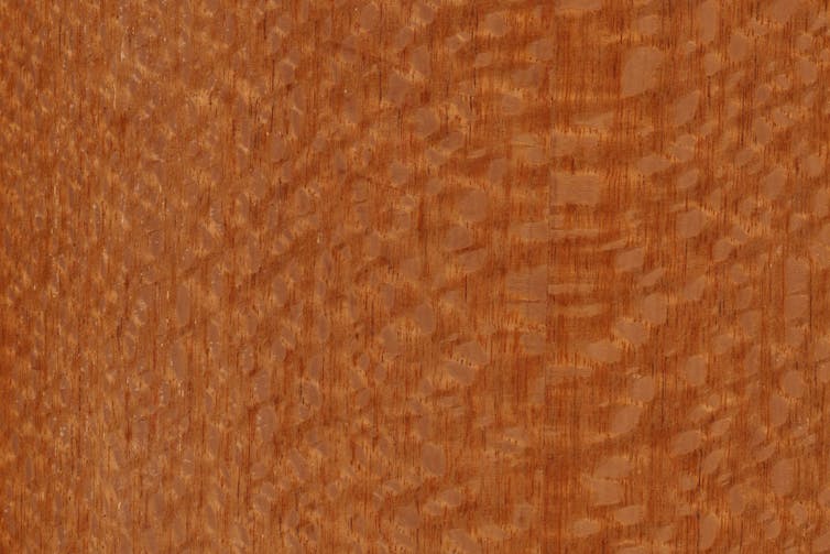 Silky oak timber