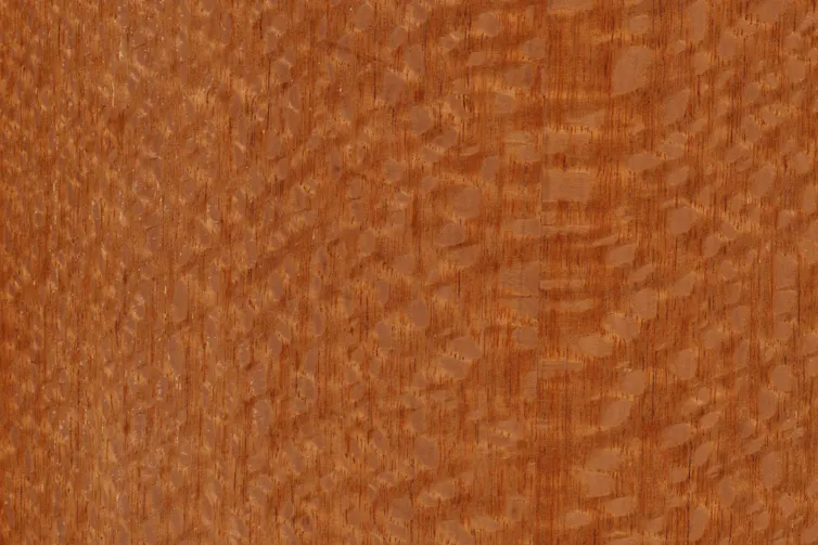 Silky oak timber