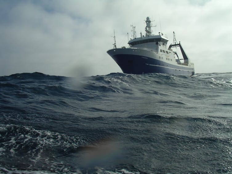 Un barco cruzando el océano Antártico