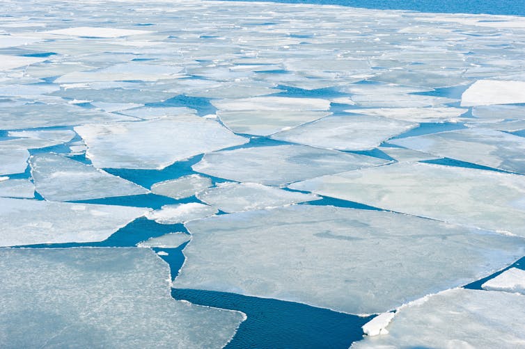 sea ice around Antarctica