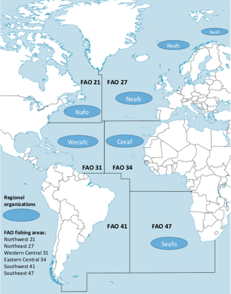 The Atlantic: The driving force behind ocean circulation and our taste for cod