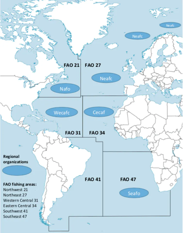 Cod Ocean Map The Atlantic: The driving force behind ocean circulation and our taste ...
