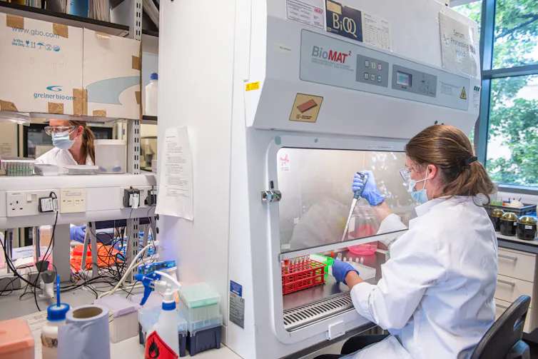 A scientist processing serum at the laboratories of Oxford University to produce a coronavirus vaccine jointly with AstraZeneca.