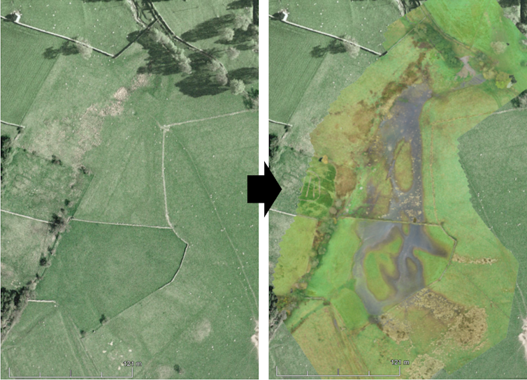 Two images depicting the transformation of farmland to wet floodplain.