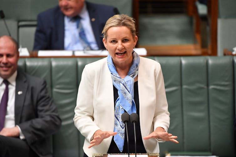 Sussan Ley in Question Time