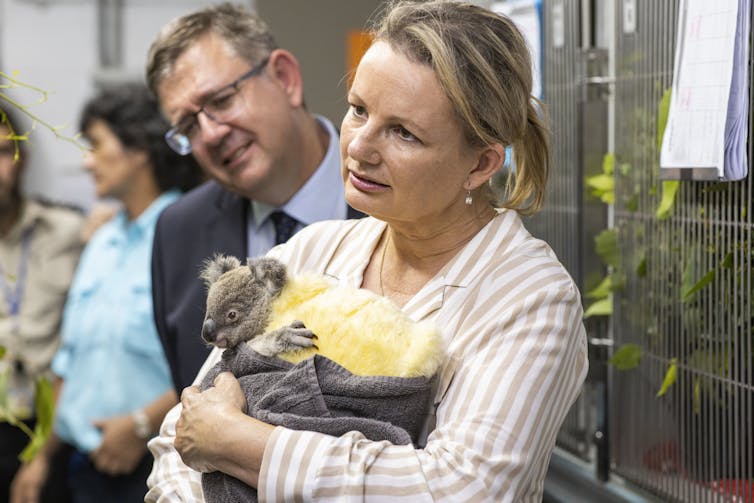 Environment Minister Sussan Ley holding a koala