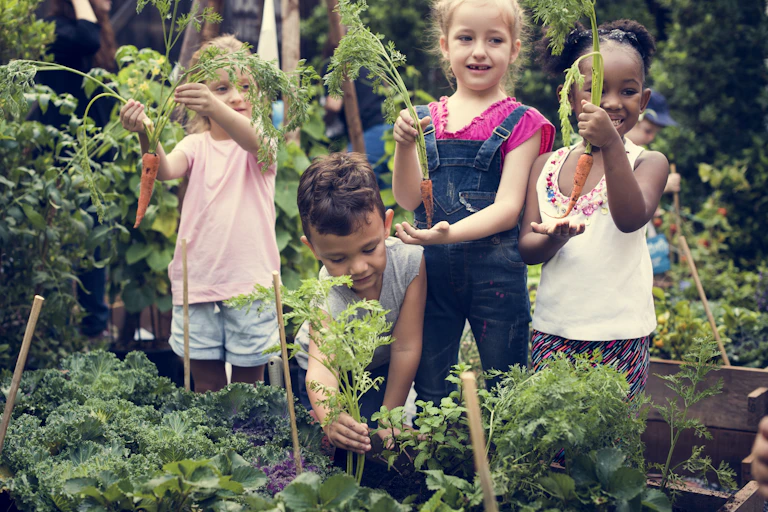 Group of children in vegetable garden picking carrots