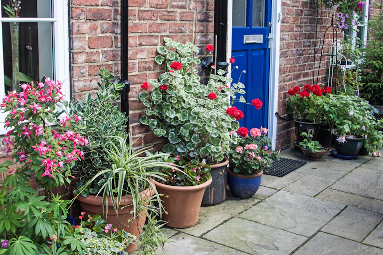 The front door of a house surrounded by potted plants on the pavement.