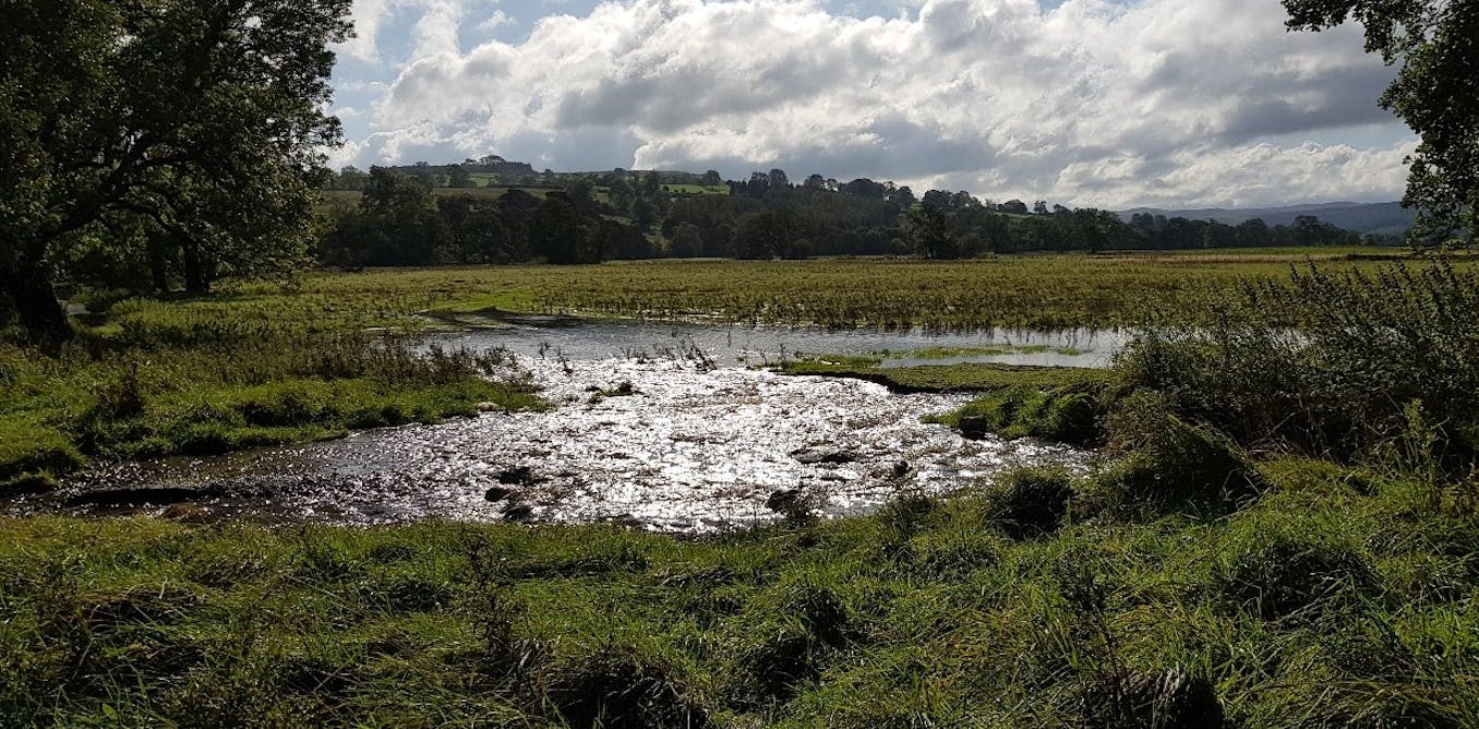 Flooding can help resurrect wetlands and slow climate change – here's how - The Conversation UK