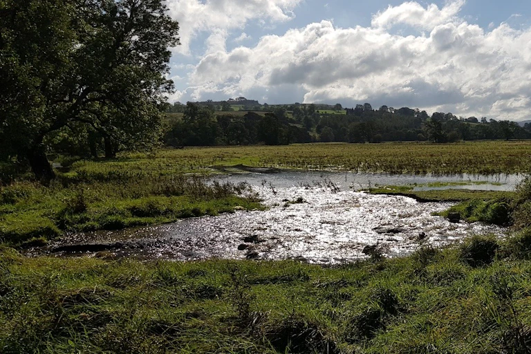 A pool of water spilling onto the floodplain from a nearby tributary.