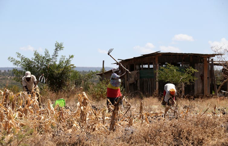 Farmers working the fields in Kenya.