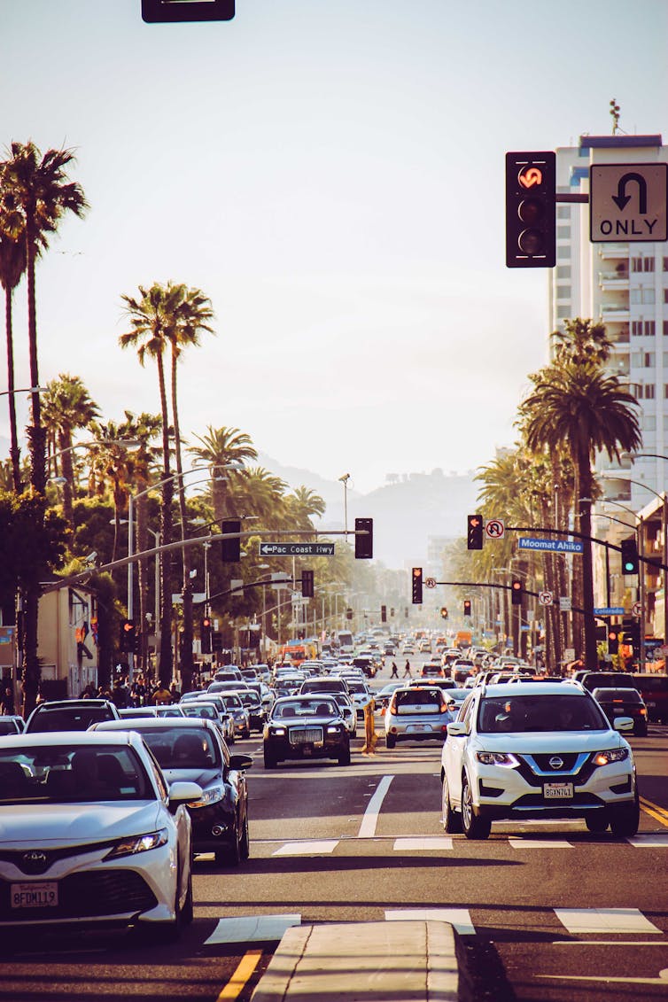 Multiple cars traveling on a sunny boulevard.