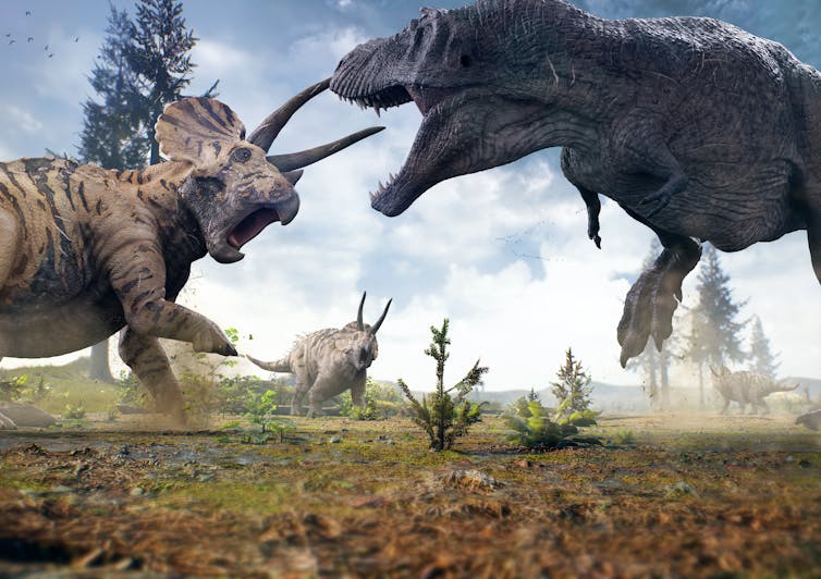 3D rendering of _T. rex_ facing off against a _Triceratops_ herd.