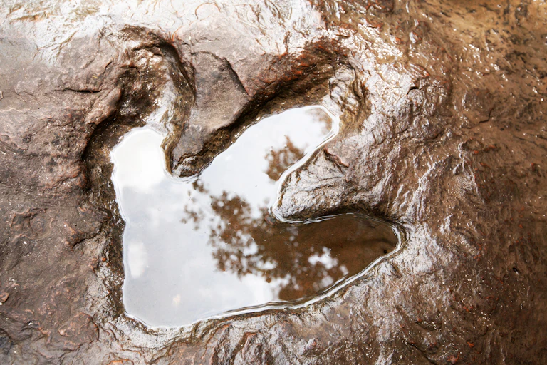 Dinosaur footprint