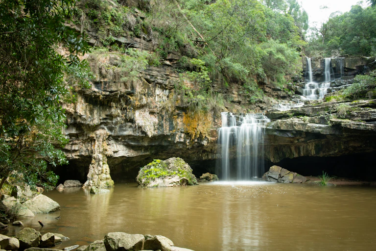 A scene on the Mitchell River