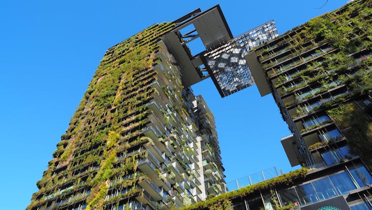 Tall buildings covered in green plants