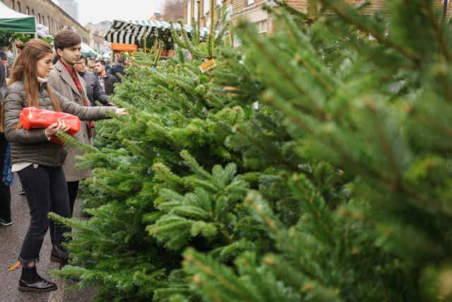 A couple look at Christmas trees in a market