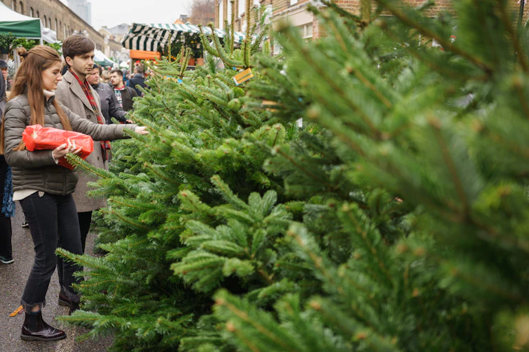A couple look at Christmas trees in a market