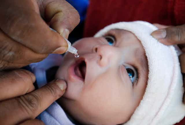 A baby being given an oral polio vaccination.