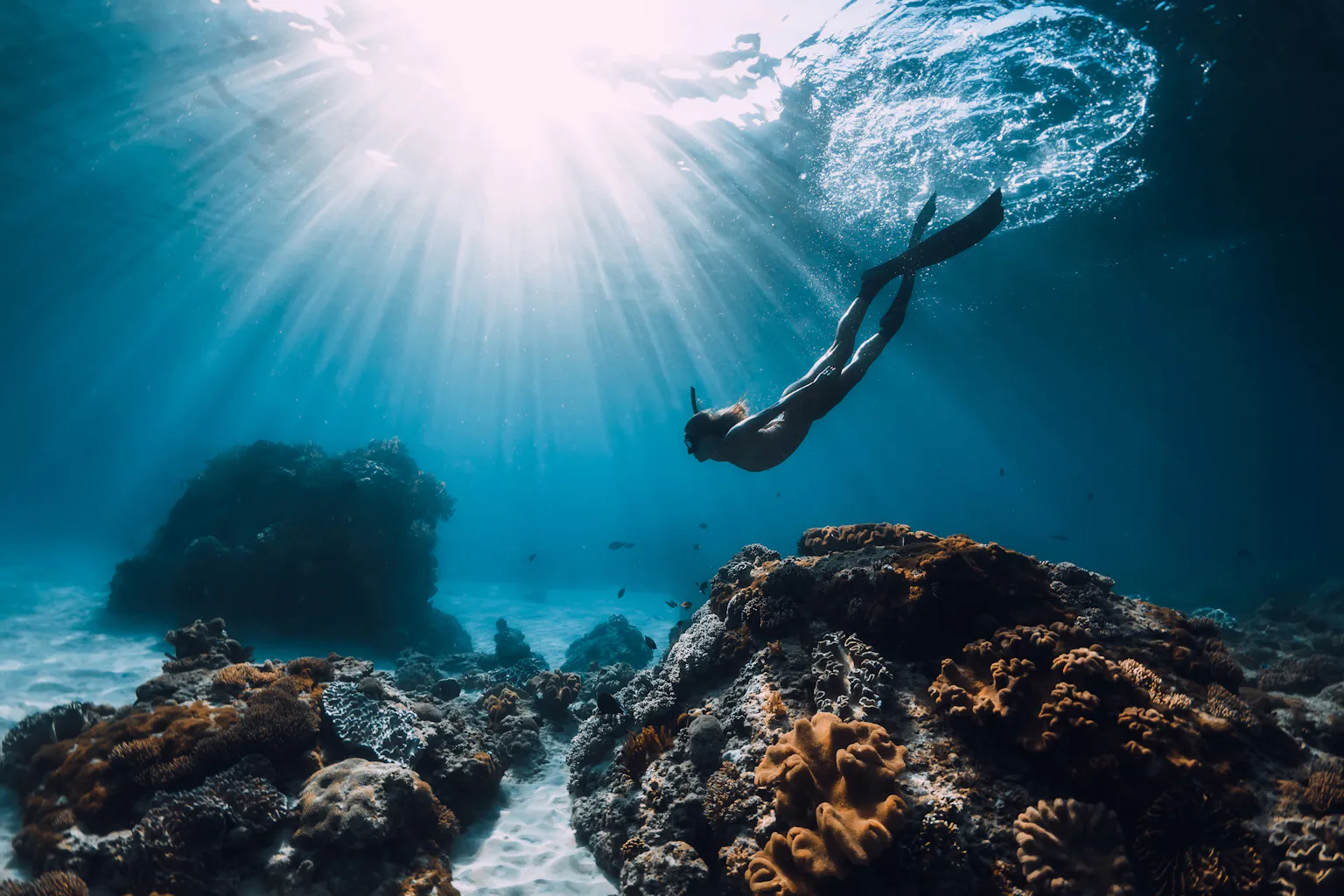 It might be the world's biggest ocean, but the mighty Pacific is in peril It might be the world's biggest ocean, but the mighty Pacific is in peril