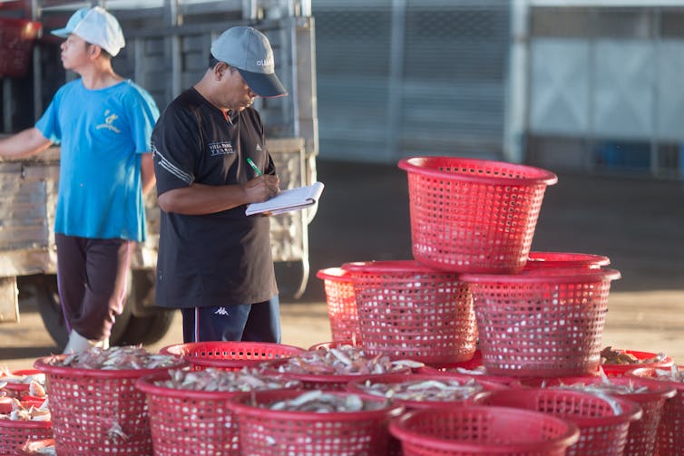 Un hombre revisa una captura de pesca