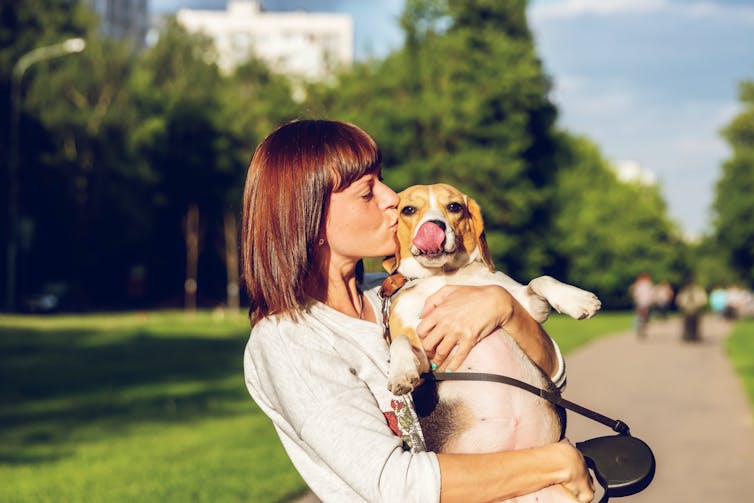 Owner kissing dog