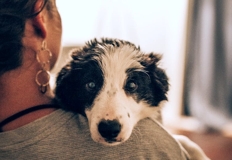 A woman holds a dog