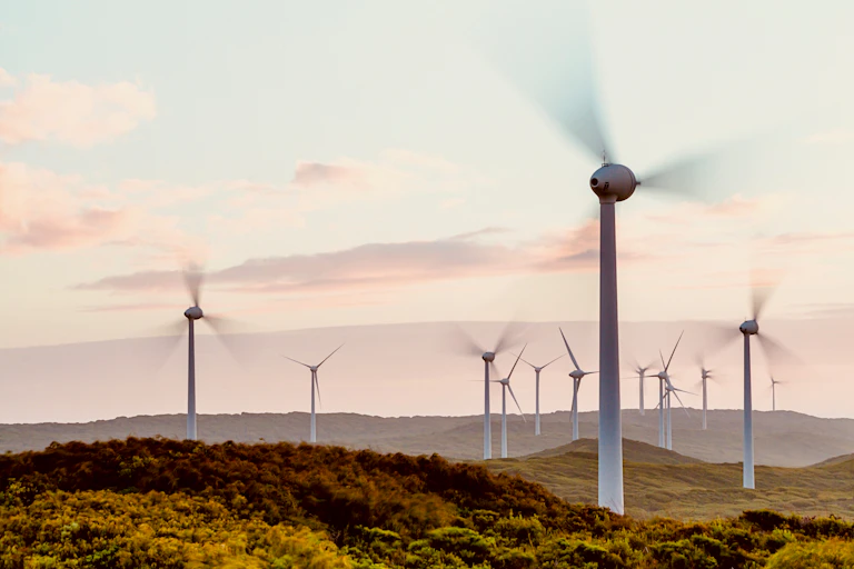 A wind farm