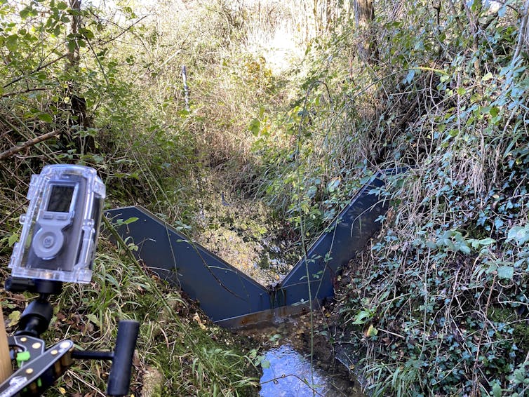 A metal barrier across a small stream