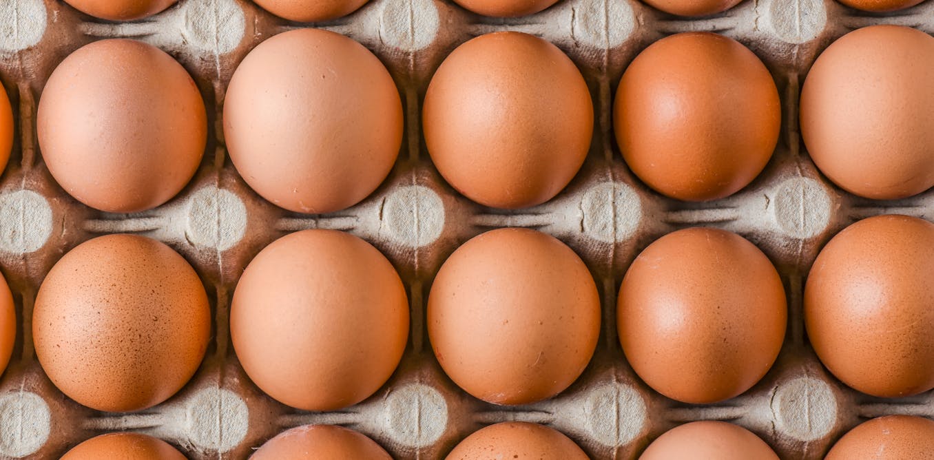 Eight cracking facts about eggs