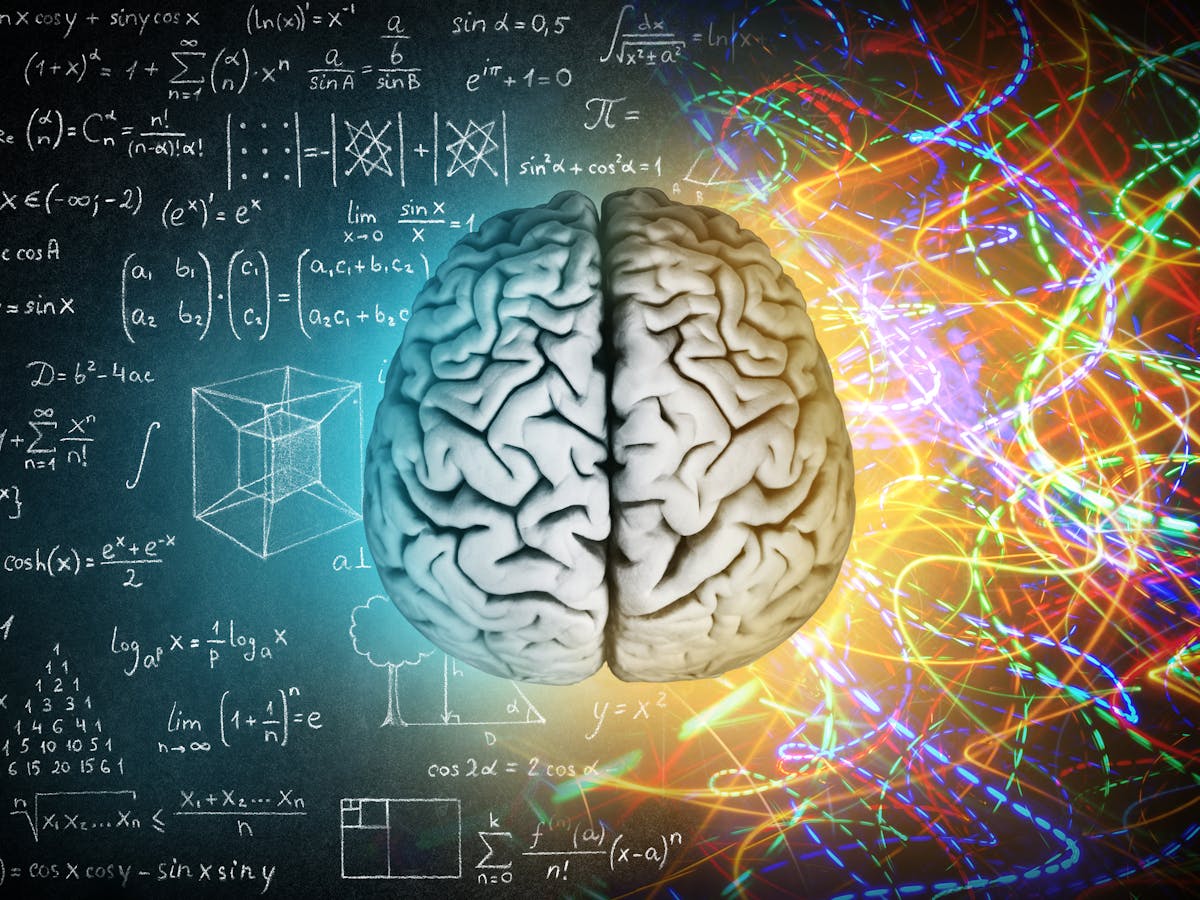 EL CEREBRO, ¿CÓMO APRENDE?