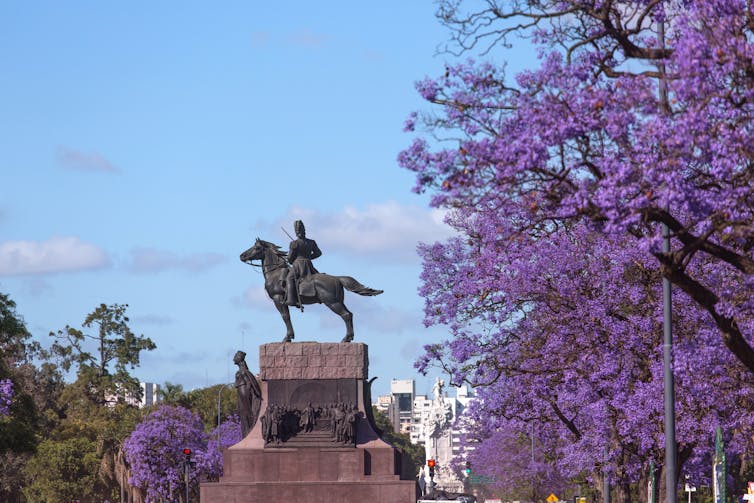 Jacarandas flowering near a statue in Buenos Aires.