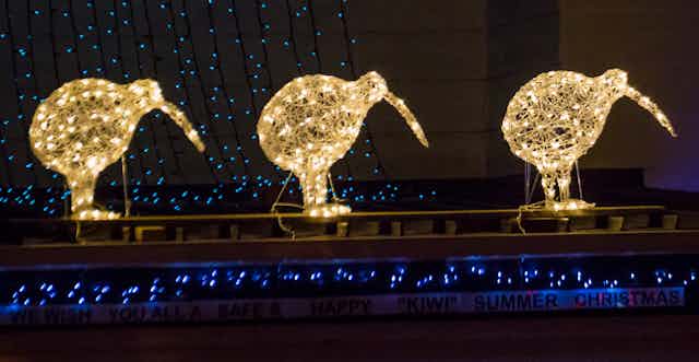 Three illuminated kiwi bird Christmas decorations.