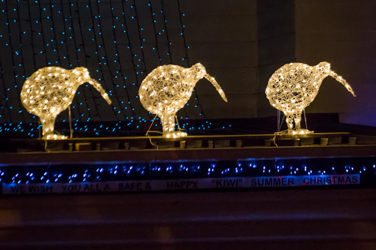 Three illuminated kiwi bird Christmas decorations.