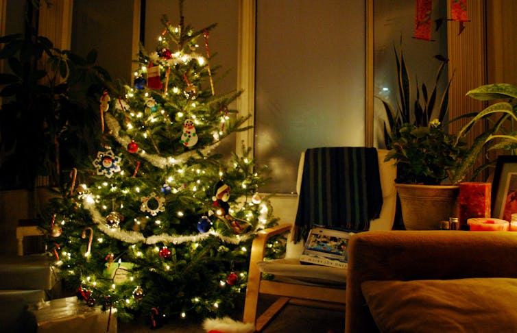 A decorated Christmas tree in a home.