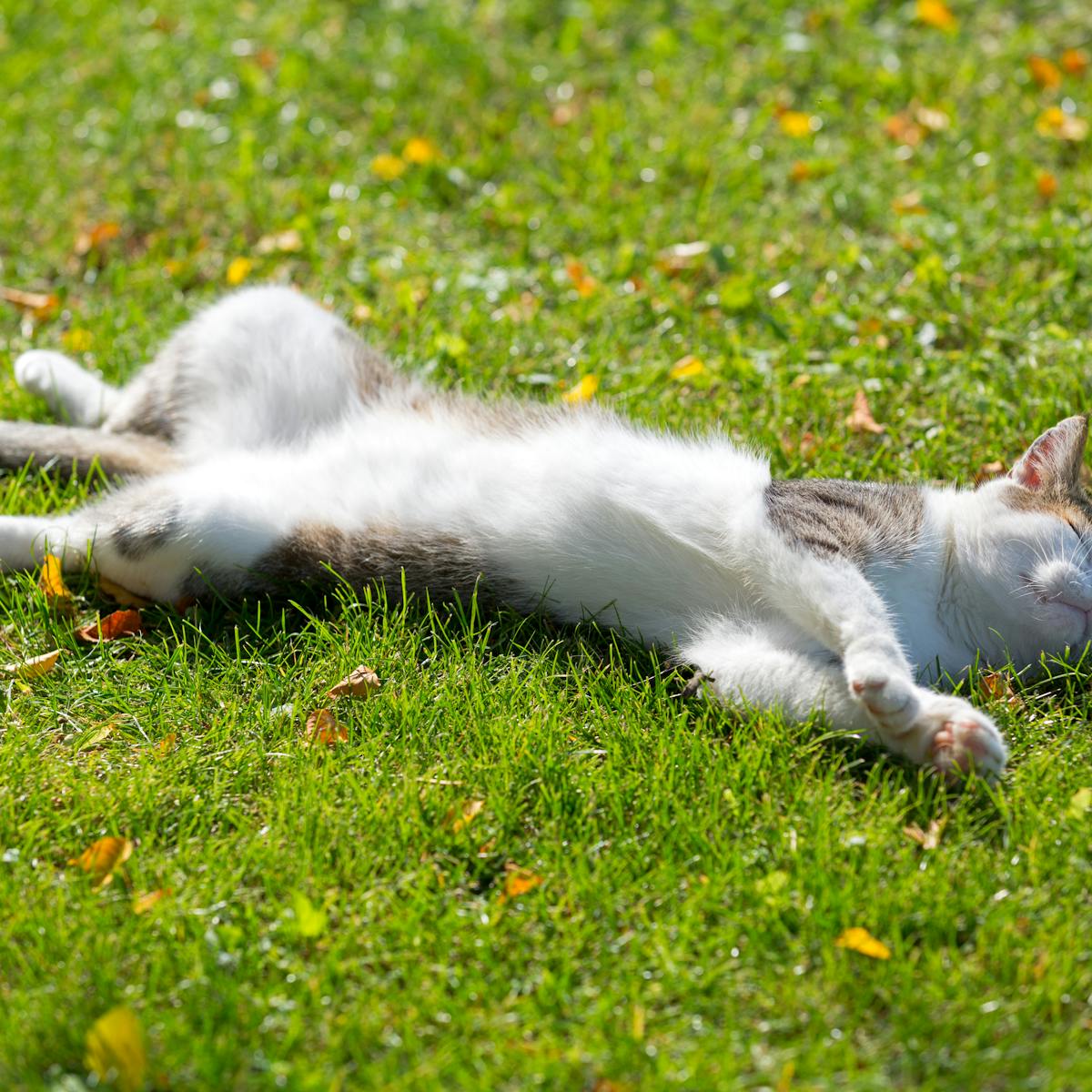 There S No Magic Way To Boost Your Energy But Perineum Sunning Isn T The Answer There S No Magic Way To Boost Your Energy But Perineum Sunning Isn T The Answer
