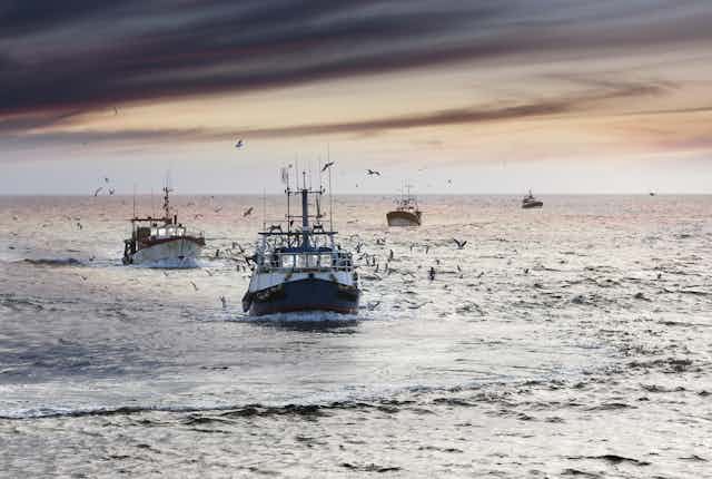 Fishing boats coming into Le Guilvinec, Brittany, France, at the end of the day