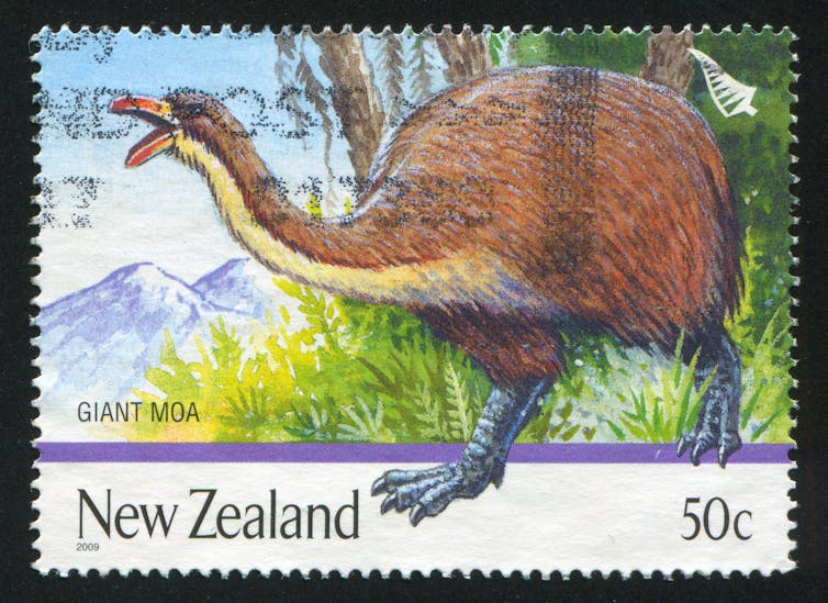 A postage stamp featuring a large flightless bird.