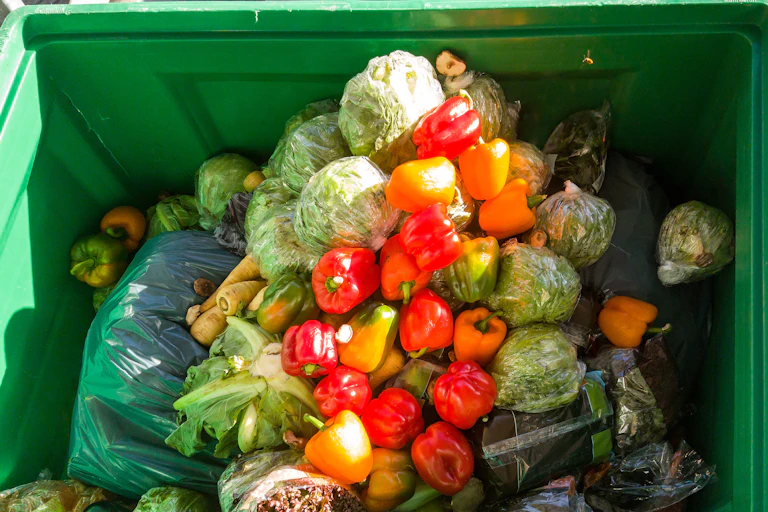 Cubo de basura con lechugas y pimientos desperdiciados.